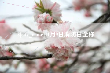 肇庆11月9日消防日全称