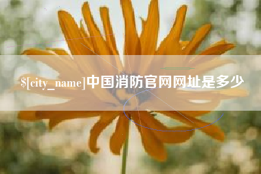 肇庆中国消防官网网址是多少