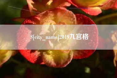 肇庆2019九宫格