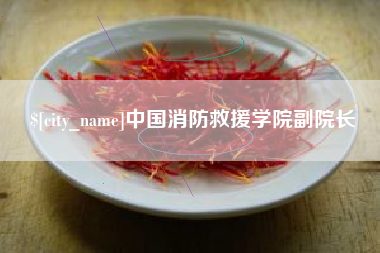 肇庆中国消防救援学院副院长