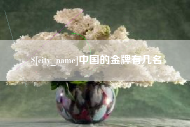 肇庆中国的金牌有几名