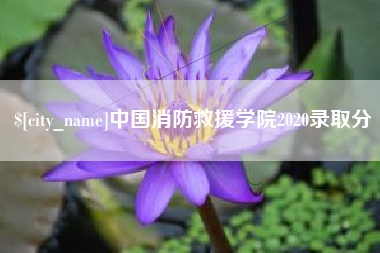 肇庆中国消防救援学院2020录取分