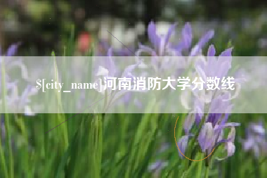 肇庆河南消防大学分数线