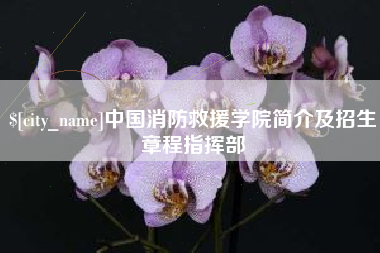 肇庆中国消防救援学院简介及招生章程指挥部