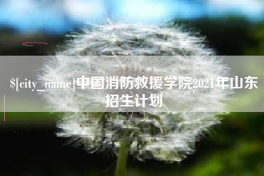 肇庆中国消防救援学院2021年山东招生计划