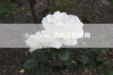 肇庆消防证的查询