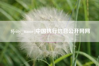 肇庆中国执行信息公开网网