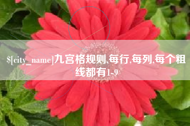 肇庆九宫格规则,每行,每列,每个粗线都有1-9