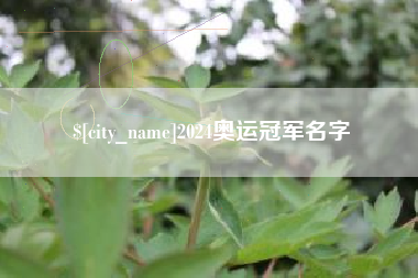 肇庆2024奥运冠军名字