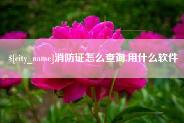 肇庆消防证怎么查询,用什么软件