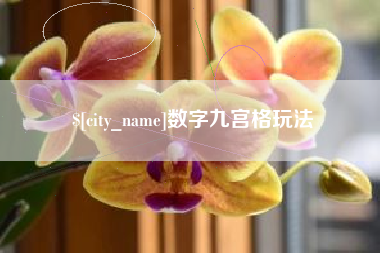 肇庆数字九宫格玩法