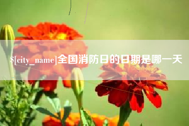 肇庆全国消防日的日期是哪一天