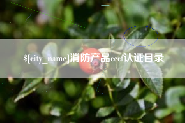肇庆消防产品cccf认证目录