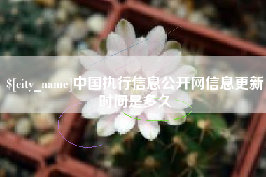 肇庆中国执行信息公开网信息更新时间是多久