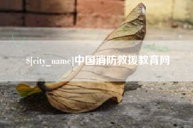肇庆中国消防救援教育网