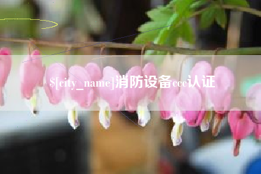 肇庆消防设备ccc认证