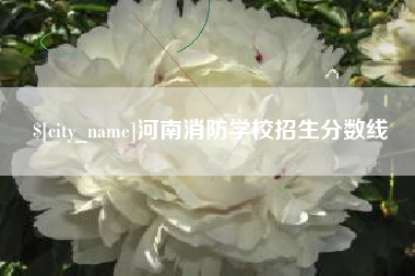 肇庆河南消防学校招生分数线
