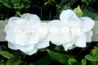 肇庆现在中国金牌是多少