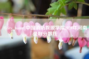 肇庆中国消防救援学院2020年河南录取分数线
