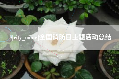 肇庆全国消防日主题活动总结