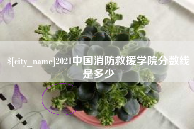 肇庆2021中国消防救援学院分数线是多少