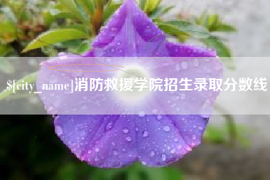 肇庆消防救援学院招生录取分数线