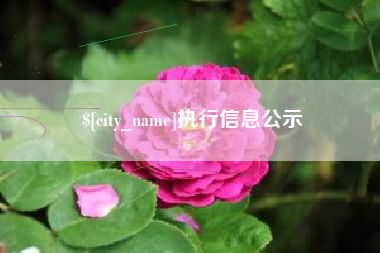 肇庆执行信息公示