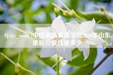 肇庆中国消防救援学院2021年山东录取分数线是多少