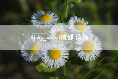 肇庆成都 消防