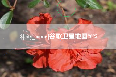 肇庆谷歌卫星地图2025
