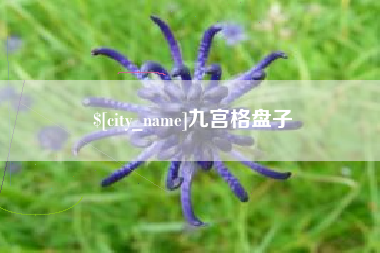 肇庆九宫格盘子