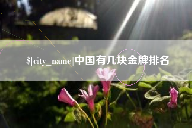 肇庆中国有几块金牌排名