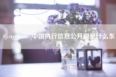 肇庆中国执行信息公开网是什么东西