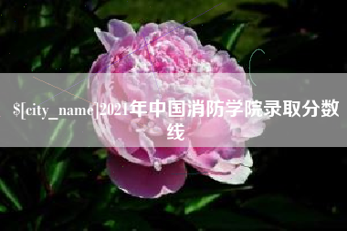 肇庆2021年中国消防学院录取分数线