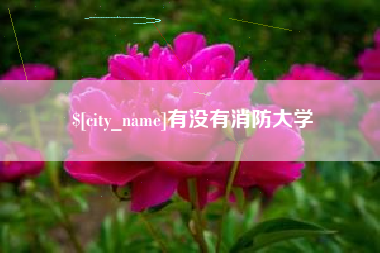 肇庆有没有消防大学