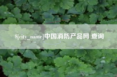 肇庆中国消防产品网 查询