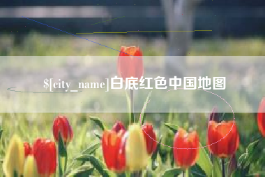 肇庆白底红色中国地图