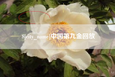 肇庆中国第九金回放