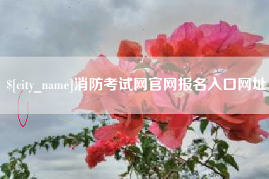 肇庆消防考试网官网报名入口网址
