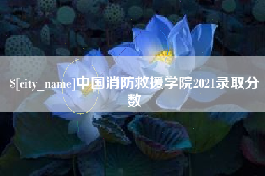 肇庆中国消防救援学院2021录取分数