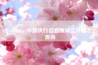肇庆中国执行信息查询公开网怎么查询