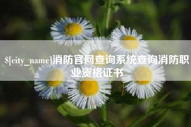 肇庆消防官网查询系统查询消防职业资格证书
