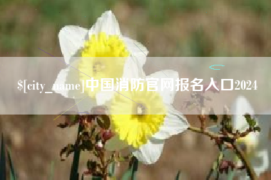 肇庆中国消防官网报名入口2024