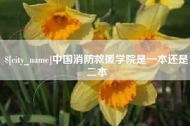 肇庆中国消防救援学院是一本还是二本