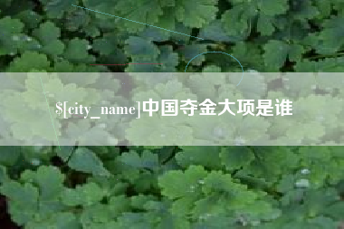 肇庆中国夺金大项是谁