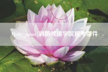 肇庆消防救援学院报考条件