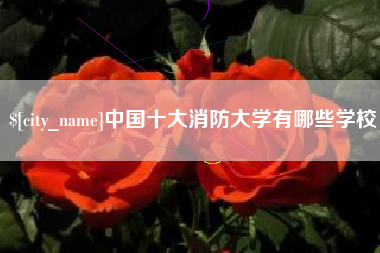 肇庆中国十大消防大学有哪些学校