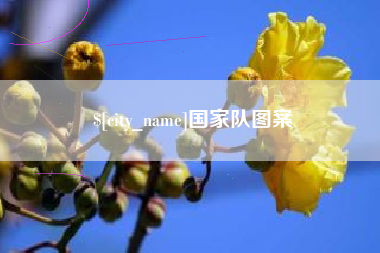 肇庆国家队图案