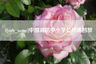 肇庆中国消防中小学公开课回放
