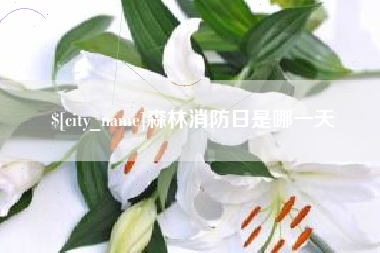 肇庆森林消防日是哪一天